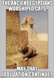Cat Worship Imgflip