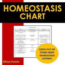 Homeostasis Chart By Mizzz Foster Teachers Pay Teachers