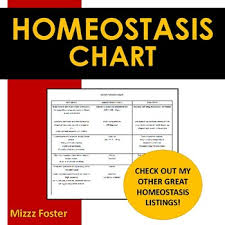 homeostasis chart by mizzz foster teachers pay teachers