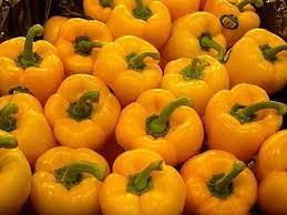 Resultado De Imagen De Pimiento Amarillo Pimiento Amarillo Pimientos Rellenos Pimientos Dulces Rellenos