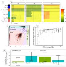 Chromosome Scale Genome Assembly Provides Insights Into Rye Biology Evolution And Agronomic Potential Biorxiv