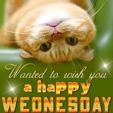 Last updated on march 29, 2020. Pin By Susie White On Happy Wednesday Quotes Happy Wednesday Quotes Good Morning Wednesday Happy Wednesday Pictures
