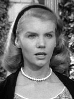 Perry Mason Actor Page