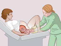 في عملية الوضع الطبيعية سيحدث انقباضات متتالية لعضلات البطن يجب عدم بقاء القطط الصغيرة أكثر من ٥٠ دقيقة في قناة الولادة ، حيث أن ضغط عضلات المهبل علي الحبل السري يمنع الأجسجين من. Ø§Ù„ÙˆÙ„Ø§Ø¯Ø© Ø§Ù„Ø·Ø¨ÙŠØ¹ÙŠØ© Zanzu