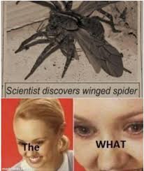 25 clean memes 2020 funny reviewed ahead really funny memes stupid memes funny relatable memes