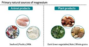 Berg keto consultant today and get the help you need on your journey. Learn About Your Vitamins And Minerals Vitamin B1 And Magnesium Bioanalyt