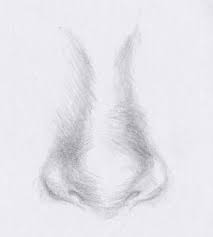 Pin By Mental Amoeba On Art Realistic Drawings Drawing Techniques Art Techniques