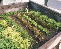 Martin roofing supply is here to help. Cold Frame Gardening Finegardening