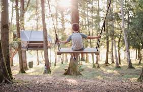 le parc animalier une nature preservee domaine des grottes de han