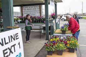 Maybe you would like to learn more about one of these? Covid 19 Garden Centres Get Green Light To Reopen Niagara Now