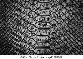 Black Snake Skin Pattern Texture Background Snake Wallpaper Textured Background Snake Skin