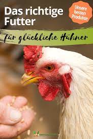 Was Huhn Frisst Und Was Besser Nicht Huhner Futter Huhner Huhnerhaltung Im Garten