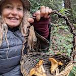 Sierra Waters Homestead