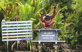 Keanekaragaman flora dan fauna di suatu wilayah tidak terlepas dari dukungan kondisi di wilayah itu. Pertanyaan Tentang Konservasi Flora Dan Fauna Guru Galeri