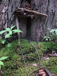 Fairy House In Cathedral Woods C 2013 Susan Ashley Michael
