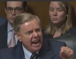 Sami Powers ☮️ (@samiseeb)