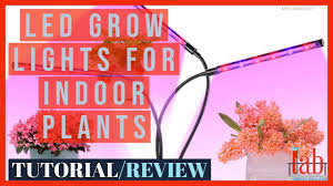 Which is the best led grow light to buy? Led Grow Lights For Indoor Plants Youtube