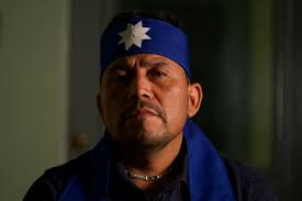 News :: Earth Island Journal