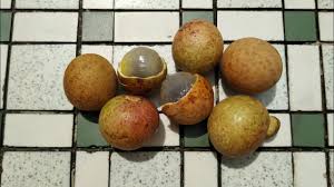Don't remember particulars about it's taste, except that it was good. Ping Pong Longan Dimocarpus Longan Youtube