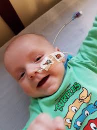 For anyone wondering how Arlo is healing up, he's doing just fine 😂