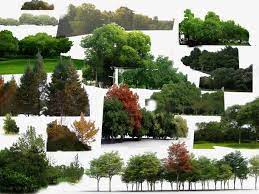 背景植物免抠素材免费下载 素材7mxkagwej 新图网in 2021 outdoor water river