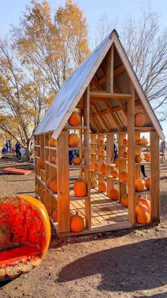 Walter's Pumpkin Patch in Burns KS: Fall Activities for All Ages