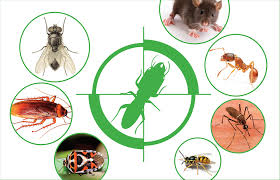 Hệ thống nam việt pest control. Kiá»ƒm Soat Con Trung Gay Háº¡i