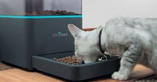 There are automatic cat feeders that do not give you all the flexibility you need when it comes to the feeding times and schedule. Best Automatic Cat Feeder Reviews Update 2018 Buyer S Guide