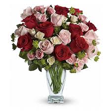 Alberta british columbia, manitoba, new brunswick, newfoundland and labrador, northwest territories, nova scotia, nunavut, ontario, prince edward island, quebec, saskatchewan, yukon territory, and. Flower Delivery In Canada Serenataflowers Com