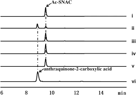 Pengalaman tes antam fresh graduate program afgp 2016 ekagustina. Offloading Role Of A Discrete Thioesterase In Type Ii Polyketide Biosynthesis Mbio