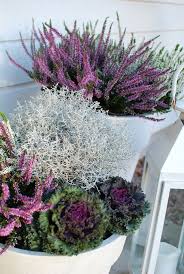 Syyspuuhia Univajetta Ja Hassuttelua Autumn Garden Pots Fall Container Gardens Plants