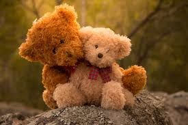 Teddy Bear Love Teddy Bear Wallpaper Teddy Bear Pictures Teddy Bear