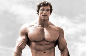 Then the young man did not yet possess such a muscularbody, as in the years of its heyday. Arnold Schwarzenegger Biography Height Life Story Super Stars Bio