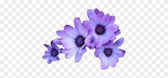 Dmca report free download 0 downloads. Img Purple Flowers Transparent Background Free Transparent Png Clipart Images Download