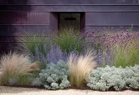 Grasses In A Modern Landscape Design Drought Tolerant Garden Landscape Design Farmhouse Landscaping