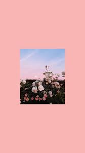 Wallpaper For Ipad Pro Flowers Photography Wallpaper Aesthetic Iphone Wallpaper Iphone Wallpaper Tumblr Aesthetic
