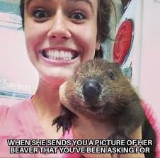 Thank you for putting the stick figure family of 4