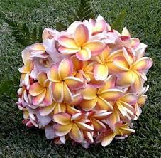 This Plumeria Bouquet Was Unique As It Is Made With Cymbidium And Dendrobium Orchids And The Plumeria S Are Added O Plumeria Bouquet Plumeria Beautiful Bouquet