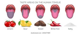 Image result for Taste Sensation