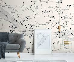 Check out this fantastic collection of constellation wallpapers, with 43 constellation background images for your desktop, phone or tablet. White Vintage Constellation Wallpaper Mural Feathr Wallpapers