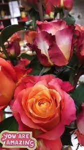 Check spelling or type a new query. Vee S Flowers Home Facebook