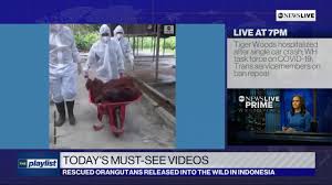 Los angeles orange county inland empire ventura county california u.s. Tiger Woods Hospitalized In Crash In Los Angeles California Live Coverage Courtesy Kabc Youtube