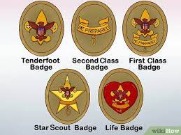 How To Become An Eagle Scout: 13 Steps (With Pictures) - Wikihow