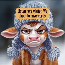 It's All Country store update and Father's Day gifts