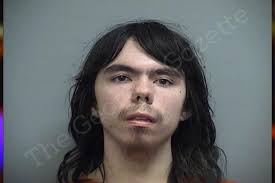 Stanley Stone — Effingham County Jail Bookings