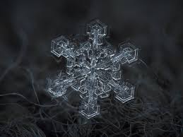Photo et images libres de droits pour flocons de neige. Des Macros De Flocons De Neige