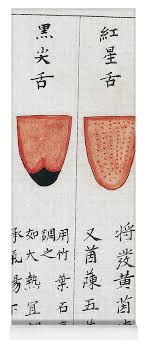 Chinese Tongue Diagnosis Chart 1341 Yoga Mat
