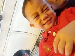 Daniella Nollen Comia