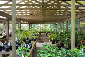 About garden terrace alzheimer's center of excellence. Visit Rhododendron Species Botanical Garden