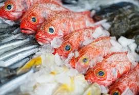 3xn has released plans for the new sydney fish market — a project the firm was commissioned to build in 2017. Article
